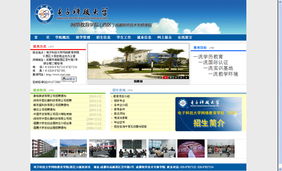 網站建設需求分析與實施指南