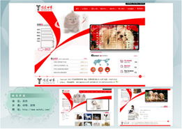 廈門易爾通網(wǎng)絡(luò)科技 區(qū)域營(yíng)銷服務(wù)中心與網(wǎng)絡(luò)信息技術(shù)推廣服務(wù)